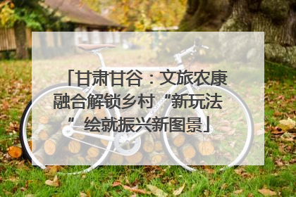 甘肃甘谷：文旅农康融合解锁乡村“新玩法”绘就振兴新图景