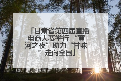 甘肃省第四届直播电商大赛举行 “黄河之夜”助力“甘味”走向全国