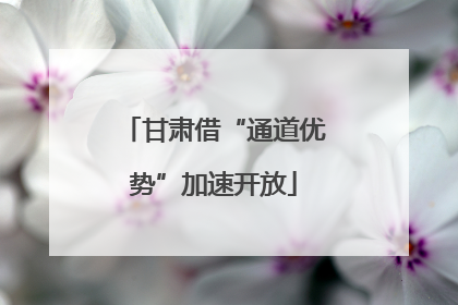 甘肃借“通道优势”加速开放