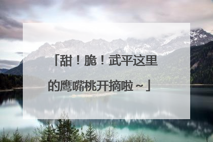 甜！脆！武平这里的鹰嘴桃开摘啦～