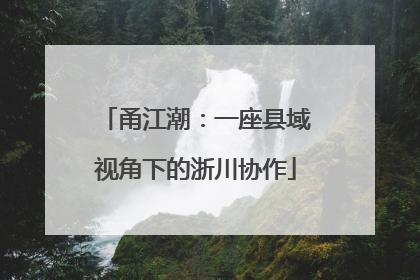 甬江潮：一座县域视角下的浙川协作