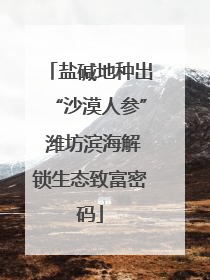 盐碱地种出“沙漠人参” 潍坊滨海解锁生态致富密码