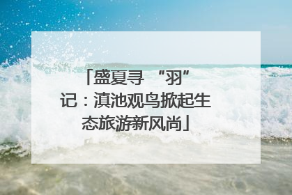 盛夏寻 “羽” 记：滇池观鸟掀起生态旅游新风尚