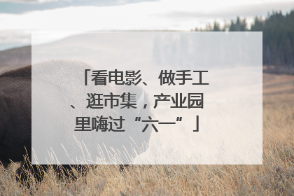 看电影、做手工、逛市集，产业园里嗨过“六一”