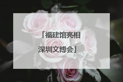 福建馆亮相深圳文博会
