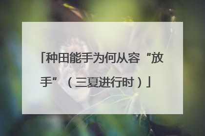 种田能手为何从容“放手”（三夏进行时）