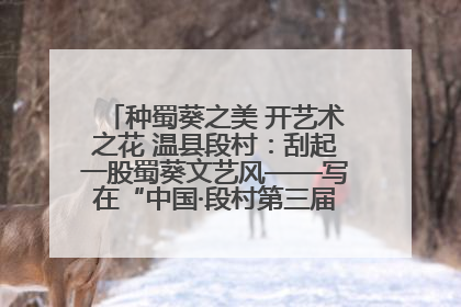 种蜀葵之美 开艺术之花 温县段村：刮起一股蜀葵文艺风——写在“中国·段村第三届蜀葵画展”开展之际