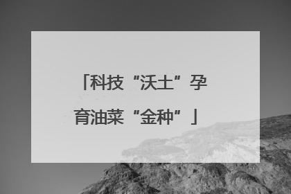 科技“沃土”孕育油菜“金种”