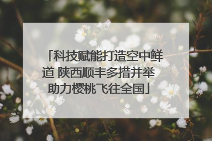 科技赋能打造空中鲜道 陕西顺丰多措并举助力樱桃飞往全国