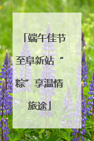 端午佳节至阜新站“粽”享温情旅途