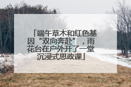 端午草木和红色基因“双向奔赴”，雨花台在户外开了一堂沉浸式思政课