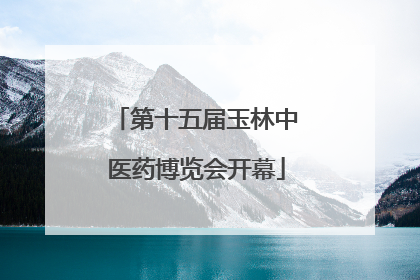 第十五届玉林中医药博览会开幕