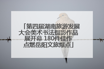 第四届湖南旅游发展大会美术书法摄影作品展开幕 180件佳作点燃岳阳文旅爆点