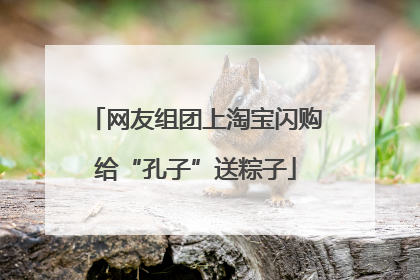 网友组团上淘宝闪购给“孔子”送粽子