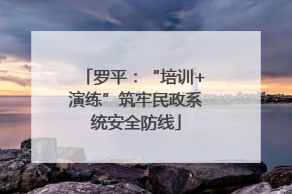 罗平：“培训+演练”筑牢民政系统安全防线