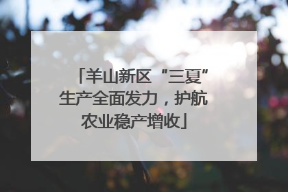 羊山新区“三夏”生产全面发力，护航农业稳产增收