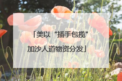 美以“插手包揽”加沙人道物资分发