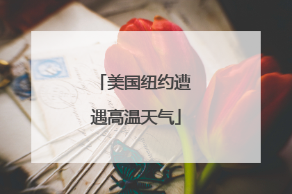 美国纽约遭遇高温天气