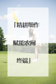 精耕细作 赋能农网终端