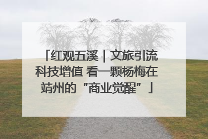 红观五溪｜文旅引流 科技增值 看一颗杨梅在靖州的“商业觉醒”