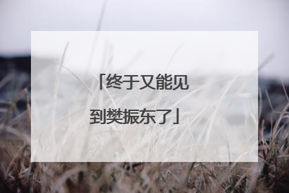 终于又能见到樊振东了