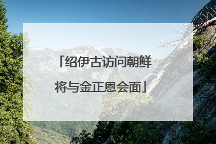 绍伊古访问朝鲜 将与金正恩会面