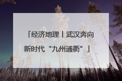 经济地理丨武汉奔向新时代“九州通衢”