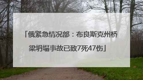 俄紧急情况部：布良斯克州桥梁坍塌事故已致7死47伤