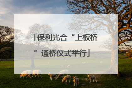 保利光合“上板桥”通桥仪式举行