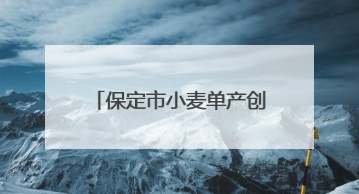 保定市小麦单产创河北省历史新高