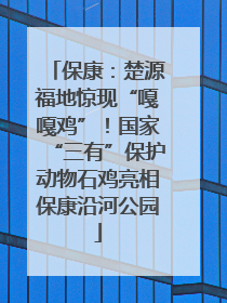 保康：楚源福地惊现“嘎嘎鸡”！国家“三有”保护动物石鸡亮相保康沿河公园
