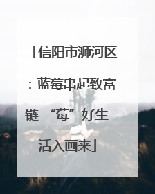信阳市浉河区：蓝莓串起致富链 “莓”好生活入画来