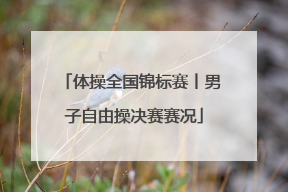 体操全国锦标赛丨男子自由操决赛赛况