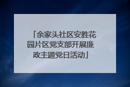 余家头社区安胜花园片区党支部开展廉政主题党日活动