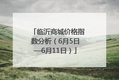 临沂商城价格指数分析（6月5日—6月11日）