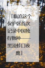 临沧这个保护区首次记录中国独有物种——黑顶蛙口夜鹰