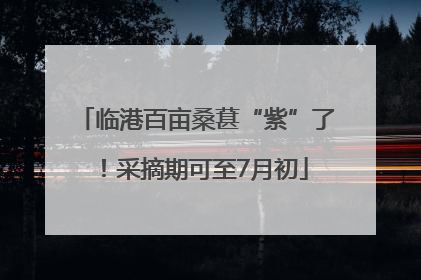 临港百亩桑葚“紫”了！采摘期可至7月初
