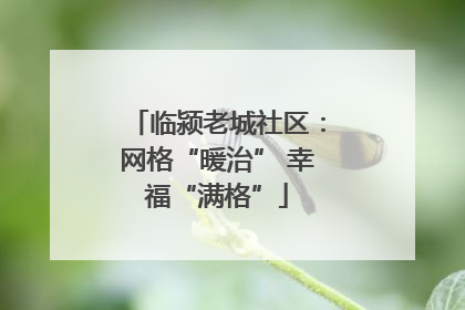 临颍老城社区：网格“暖治” 幸福“满格”