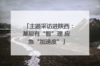 主题采访进陕西：基层有“智”理 应急“加速度”