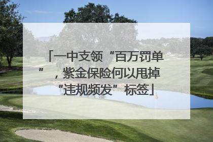 一中支领“百万罚单”，紫金保险何以甩掉“违规频发”标签