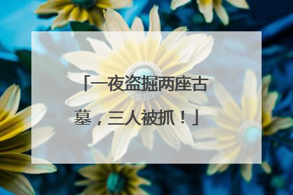 一夜盗掘两座古墓，三人被抓！