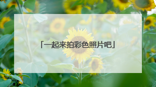 一起来拍彩色照片吧