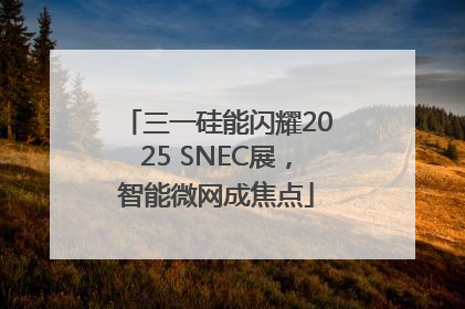 三一硅能闪耀2025 SNEC展，智能微网成焦点