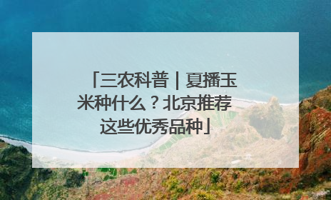 三农科普｜夏播玉米种什么？北京推荐这些优秀品种
