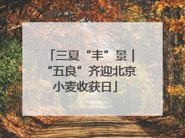 三夏“丰”景｜“五良”齐迎北京小麦收获日