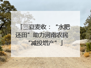 三夏麦收：“水肥还田”助力河南农民“减投增产”