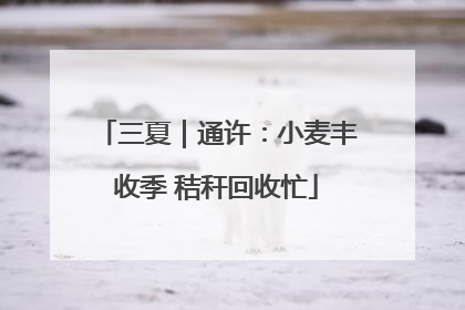 三夏｜通许：小麦丰收季 秸秆回收忙