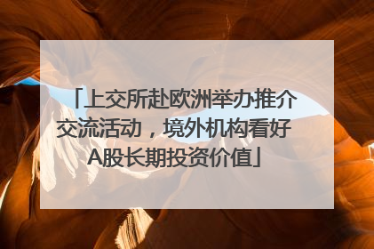 上交所赴欧洲举办推介交流活动，境外机构看好A股长期投资价值