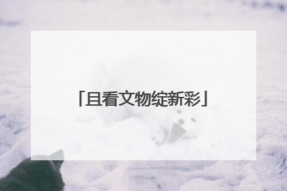 且看文物绽新彩