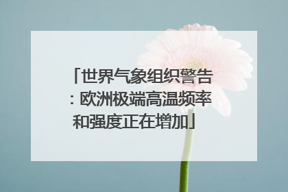 世界气象组织警告：欧洲极端高温频率和强度正在增加